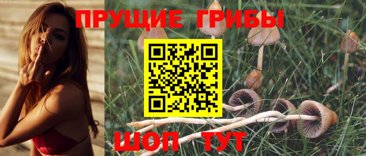 Псилоцибиновые грибы прущие грибы Коряжма