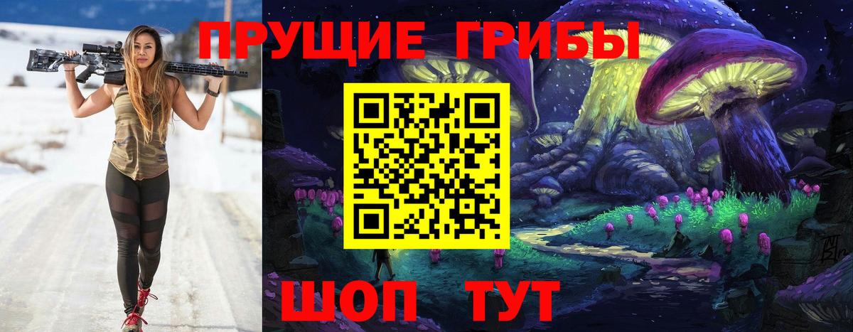 купить  цена  Галлюциногенные грибы Psilocybe  Вход с VPN  Коряжма 