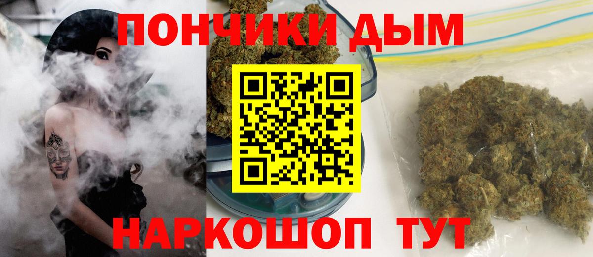 Каннабис планчик Коряжма
